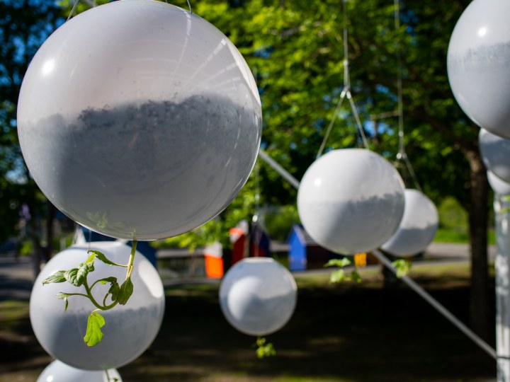 Gravity Field | Terrain Work